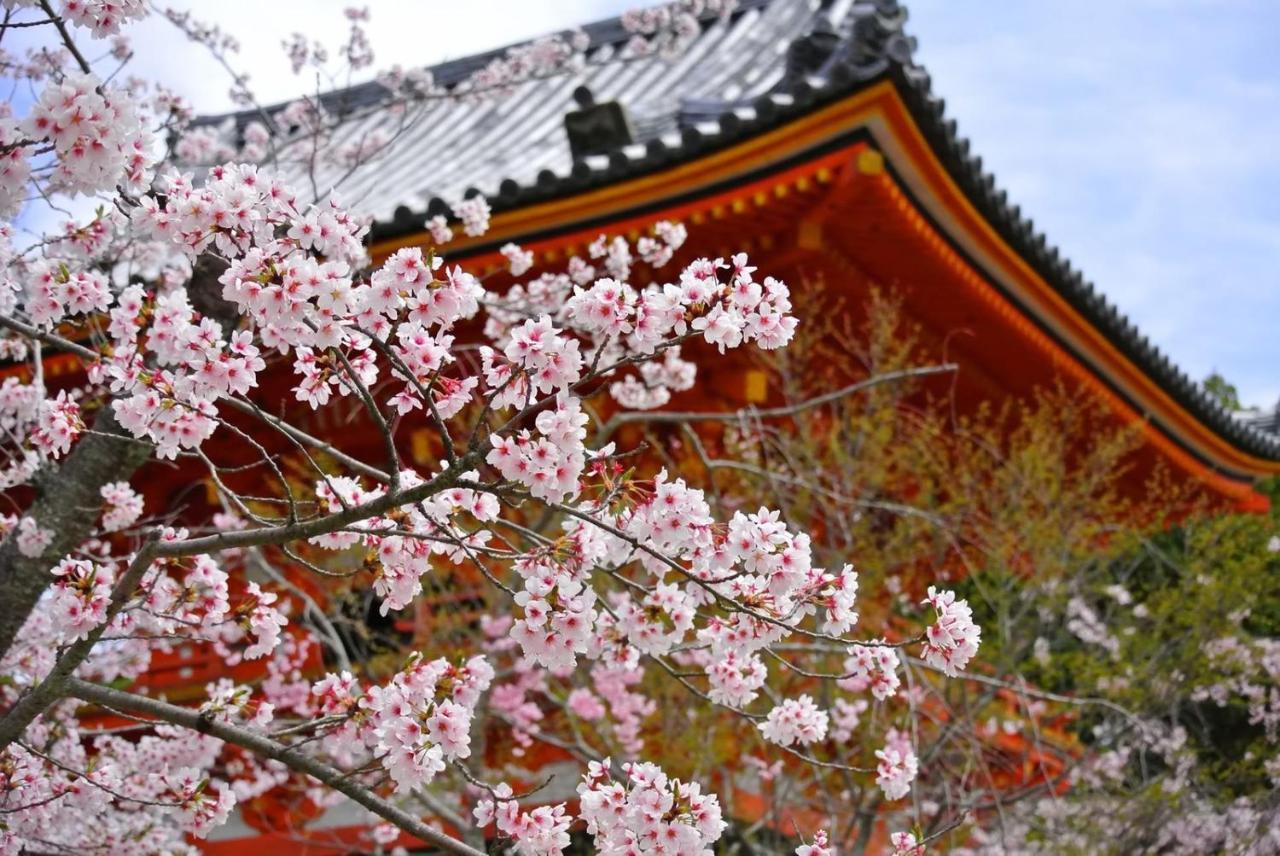 Stay Sakura Kyoto Matsuri Exterior foto
